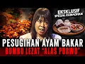 Lagu WANGI ASAP AYAM BAKAR INI BIKIN PEMBELI NGILER \u0026 TERHIPNOTIS !! PELAKU PESUGIHAN DI ALAS PURWO