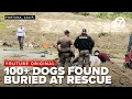 What happened at Miranda s Rescue Animal cruelty probe intensifies at Humboldt County rescue