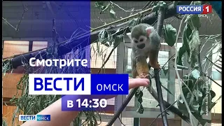 «Вести Омск», дневной эфир от 9 августа 2023 года