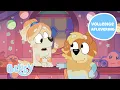 Download Lagu Dubbele Oppas ✨💙 | Bluey Volledige Aflevering | Bluey - Officieel Nederlands kanaal