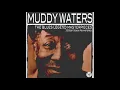 Muddy Waters - I Can't Be Satisfied [1948]