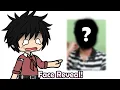Wise fox Face Reveal