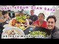 Download Lagu EKSEKUSI HASIL PANEN 🌱 KEBUNKU TERNYATA SIAP DIPANEN ABIS DITINGGAL BEBERAPA HARI 🤭