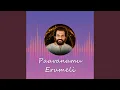 Lagu Paavanamu Erumeli
