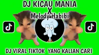 dj kicau mania x habibi viral tiktok terbaru 2026 yang kalian cari cari kicau mania x habibi