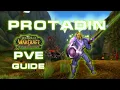 How to sucessfully start as PROTECTION Paladin in TBC TBC Classic Protection Paladin PvE Guide