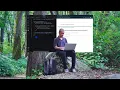 Coding in the Forest No Talking Chill ASMR Coding Session