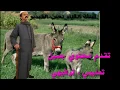 افضل قناه لليوتيوب روح و شوفها