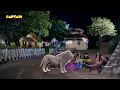 Download Lagu क्या हो जाएगा बालवीर का अंत || Baalveer Returns ( बालवीर ) || EP - 241, 242, 243, 244