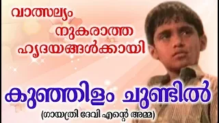 evergreen songs malayalam old malayalam film songs hits of p suseela