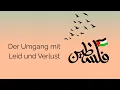 Download Lagu Das Leid in Gaza ist kaum noch zu fassen....