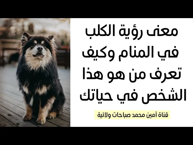 ⁣معنى رؤية الكلب في المنام وكيف تعرف من هو؟