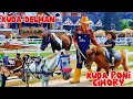 Download Lagu NAIK DELMAN ISTIMEWA - KUDA PONI CIMORY - KUDA DELMAN - LAGU ANAK INDONESIA - LAGU ANAK POPULER