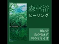 森林浴ヒーリング - 癒しの水中音