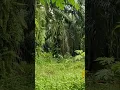 Download Lagu Allah Allah agisna ya Rasulullah...