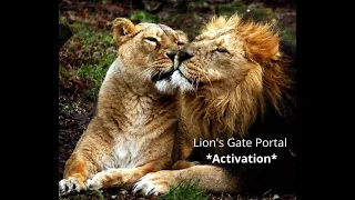 Download Lion's Gate Activation through sound MP3