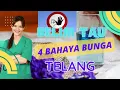 Download Lagu WAJIB WASPADA!! 4 Bahaya Bunga Telang Jika Dikonsumsi Secara Berlebihan.