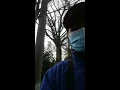 Sakura no Kisetsu (Cherry Blossom Season)