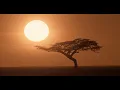 Alban Chela - NAWE