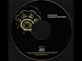 Ray Lamontagne - All The Wild Horses - Introducing Raycharles Lamontagne (2003) Track 9