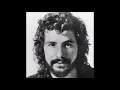 Cat Stevens - Matthew & Son (1967)