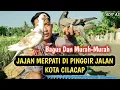 Download Lagu Beli Merpati Di Pinggir Jalan Kota Cilacap Murah Bagus-Bagus‼️