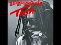 Johnny B. Goode - Peter Tosh