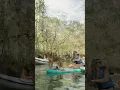 Beyond the Expected Tubing at Ginnie Springs in High Springs