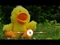 Download Lagu kevin macleod - fluffing a duck (slowed/reverb)