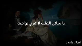 يا ساكن القلب لا تبرح نواحيه  رائعة الشاعر صالح عبده اسماعيل الآنسي  إلقاء وتصميم قناة أدبيات وأشعار دندنها