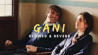 Download GANI(SLOWED \u0026 REVERB)|| AKHIL FEAT MANNI SANDHU MP3