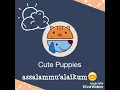 Download Lagu Video lirik Salam 5 Waktu - Wali
