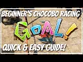 BEGINNER S guide to CHOCOBO RACING quick easy tips for MORE WINS