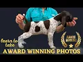 How To Take The BEST Puppy Pictures