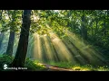 Download Lagu Beautiful Relaxing Music - Stop Overthinking, Stress Relief Music With Birds Singing