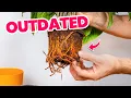 Lagu 5 Outdated Plant Care Tips to Ditch Now