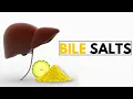 Download Lagu The Shocking Truth About Bile Salts and Your Digestive Health!