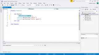 Visual Basic - Using Comments