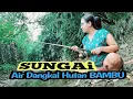 Download Lagu Mancing di sungai air dangkal hutan bambu alam kampung pedesaan