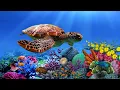 Download Lagu Beautiful Relaxing Music - Calm Nerve Music, Overcome Overthinking, Heart Therapy, Relaxation