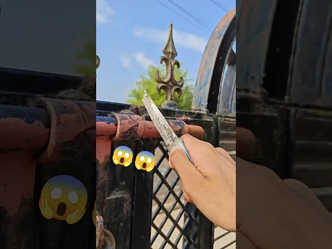 You Won't Believe That's World's Sharpest Knife 🔪