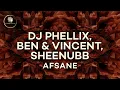 Download Lagu DJ Phellix, Ben \u0026 Vincent, Sheenubb - Afsane (Original Mix) [SIRIN107]
