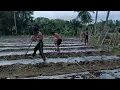 Lagu Sa lahat na mga baguhan at balak mag tatanim ng Ampalaya 🥰 ganito ang technique ko sa pag set up 👍