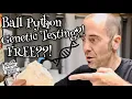 Ball Python GENETIC TESTING Free The Ball Python Genetics Project