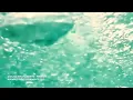 Carlita, WhoMadeWho - Mind Off (Budapest Fight Club Mente Edit)