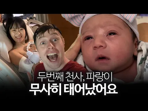 Video Thumbnail: 드디어 체리 동생, 파랑이가 무사히 태어났어요! | 감동주의