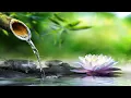 Download Lagu Bamboo Water Fountain 24/7 自然の音とともに音楽をリラックス バンブーウォーターファウンテン 【癒し音楽BGM】