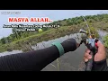 Download Lagu 💯 THE MOST VIRGIN CASTING OF CORK IN BLACK WATER SWAMP.🔥🎣😱