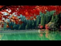 Download Lagu Rhythm Of The Rain - Richard Clayderman
