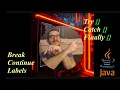 Break Continue and Label Keywords Exception Handling Basics in Java